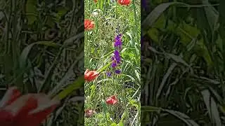 Это просто шок, рабочая поездка на Азовское море