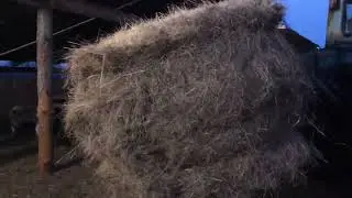 Накосил палок , теперь мучаюсь 😂