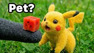 I Got Every Pokémon As A Pet