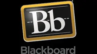 BB Training
