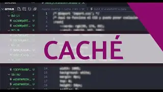 Gestionar caché de servidor para SEO