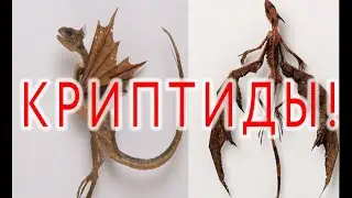 Mysterious Cryptid Creatures!| Viktor Maksimenkov
