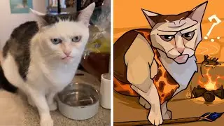 Cats with a few Brain Cells