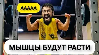 ПОЧЕМУ НЕ РАСТУТ МЫШЦЫ?