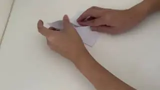 How To Fold A Paper Crane