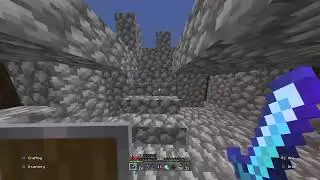 Minecraft shenanigans