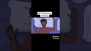 how mosquitos react when we are asleep