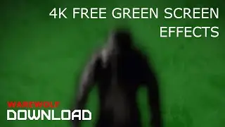 GREEN SCREEN FX - 4K WAREWOLF