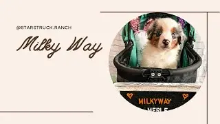 Milky Way