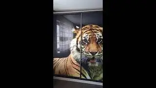 Шкаф - купе. Краткий видео обзор