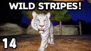 Tiger Madness! | Planet Zoo Franchise Mode - Ep.14