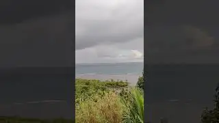 Vitamin Sea