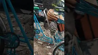 Коляска по королевски
