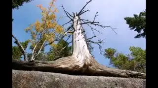 Горная Шория  Экспедиция Сидорова Г А