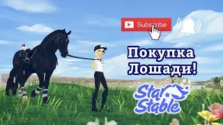 Покупка Фриза 3-го поколения! | Star Stable Online