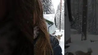 Громкость на максимум!!! Цунами реагирует на шёпот. 