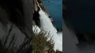 1677 50682