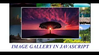 Create an image gallery using HTML, CSS and Javascript.