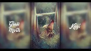 Glass Moth 🦋[ LOFI | CHILL ]