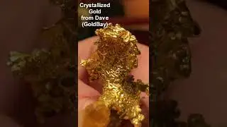 $500,000.00 Gold Nugget Specimens 