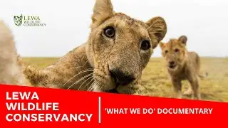 A Lewa Conservancy Documentary - What We Do