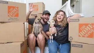 moving into our new house (it was a lil crazy, but we did it!)