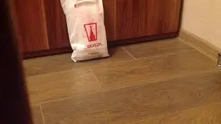 Новая игра ресторация монстров