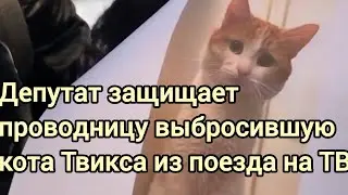 Депутат защищает проводницу скинувшую кота Твикса с поезда на мороз.