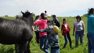 Центр отдыха "Серебряное копытце"