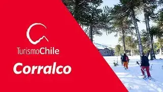 Corralco | Turismo Chile