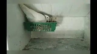 Убираю первые кладки. Мои новости.
