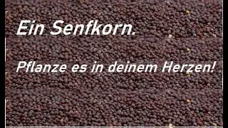 29 08 2020 Ein Senfkorn  Pflanze es in deinem Herzen