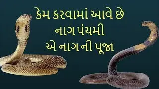 Bhaktiras: નાગપંચમી એ કેમ કરવા માં આવે છે નાગ ની પૂજા | Vtv News