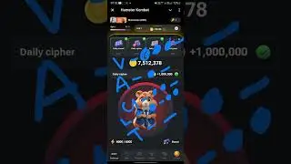 Today Hamster Combat daily cipher code 01 augast 2024