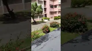 My beautiful Hostel Morning