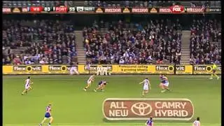 Young Dog, new trick - AFL