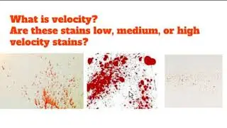 Basic Blood Spatter Analysis