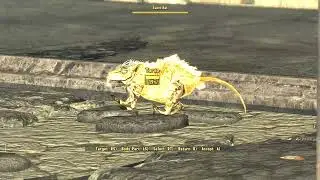 freeside_rat.mp4