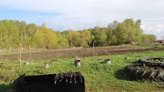 Первый блин комом.