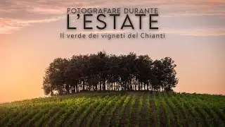 Il VERDE dei vigneti del CHIANTI | Cosa fotografare in ESTATE? Vlog fotografia di paesaggio Toscana