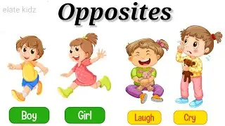 Opposites in English / Opposite words / Learn opposites in English for kids 