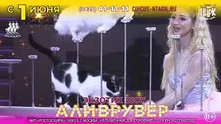 Аливрувер