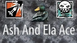 Ash and Ela Ace