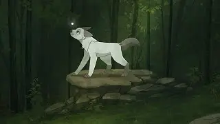 A friend ? ﹡