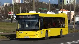 Минск.Поездка в автобусе МАЗ-203.015,гос.АТ 9251-7,марш.179 (05.11.2021)