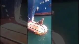 Приморский край, г. Владивосток. Мыс. Артур.