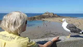 Небо как небо  /Караоке/ Т. Викберг