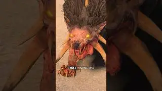 Chaos Warhounds Lore