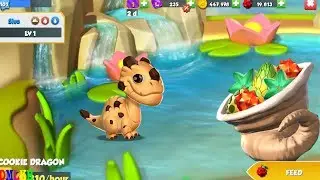 Do you have Cookie Dragon ? Dragon Mania Legends | part 360
