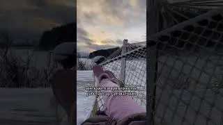 Время наедине с собой